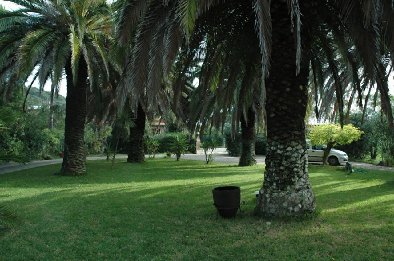 Apartamento Le Palme Capoliveri  Exterior foto