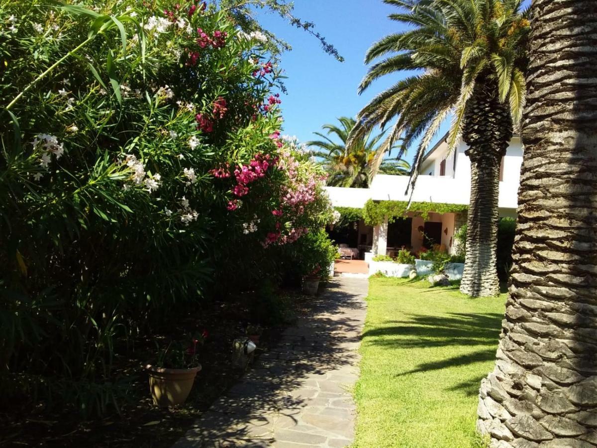 Apartamento Le Palme Capoliveri  Exterior foto
