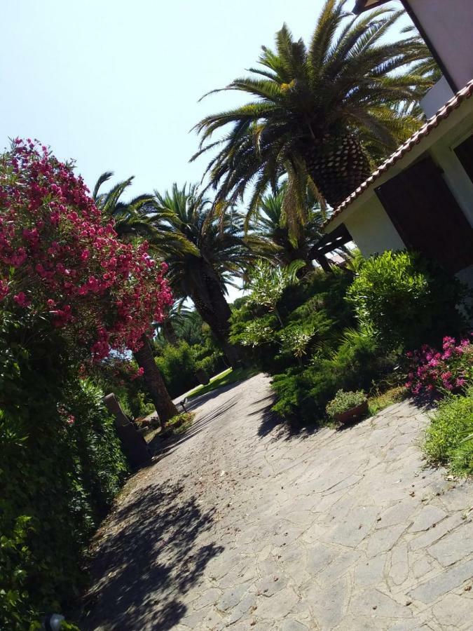 Apartamento Le Palme Capoliveri  Exterior foto